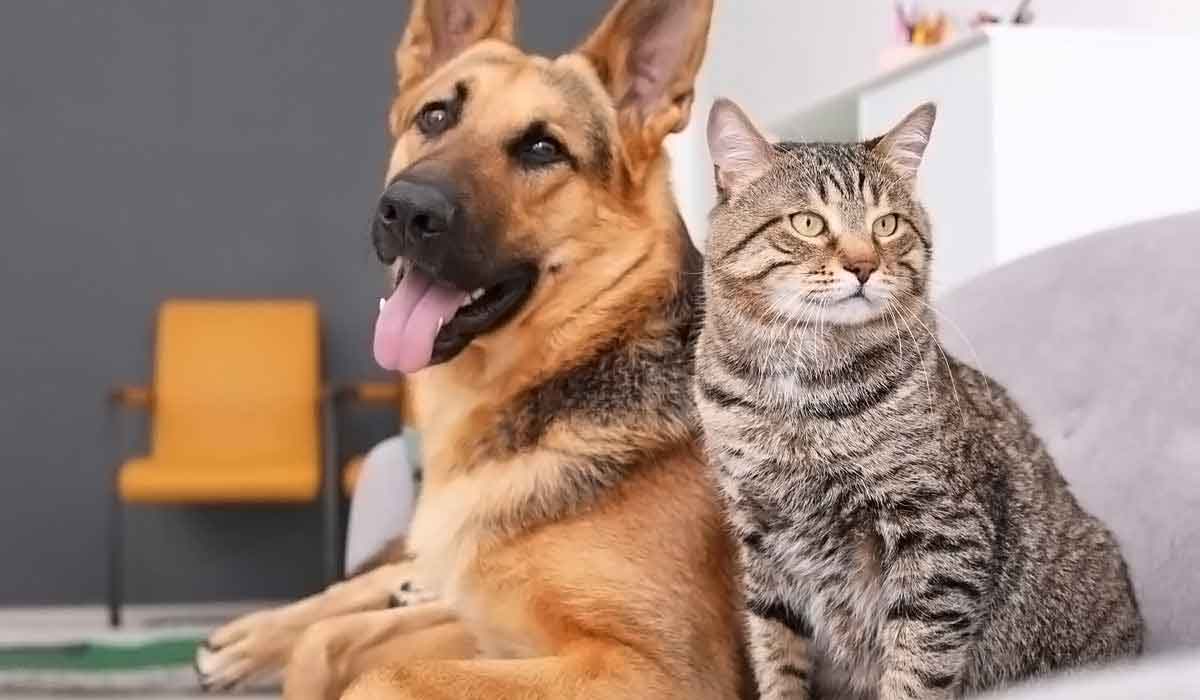 攻击网站的方法