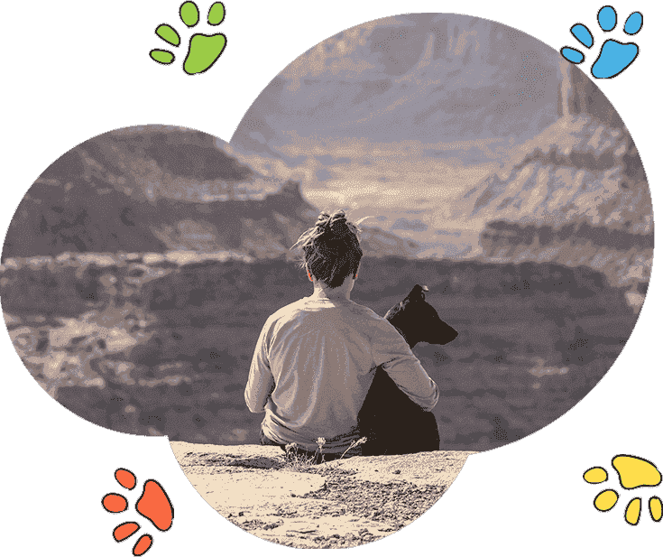 专业技术支持的cc网页端