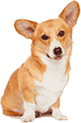 【免安装绿色版】无病毒的免费DDOS攻击测试工具