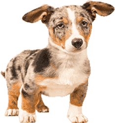 ddos流量攻击购买